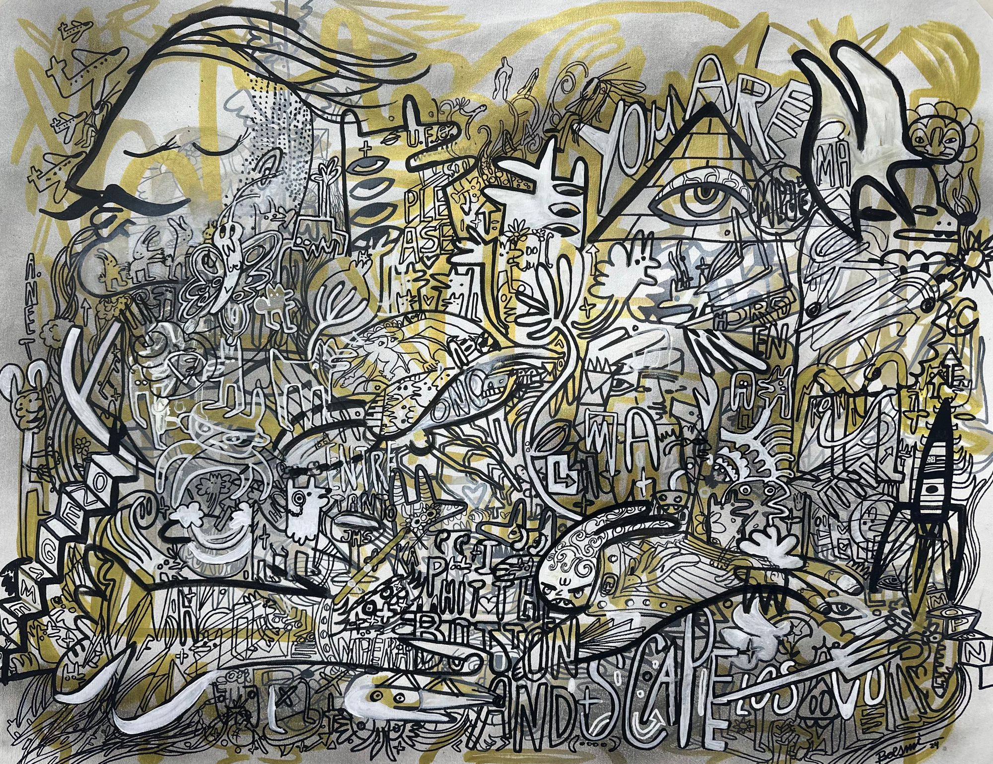 隐私和视频监控（2024 年）